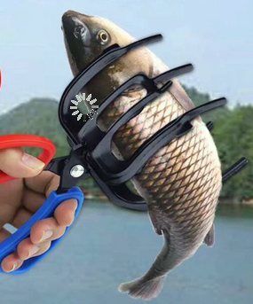 Fish Grabber